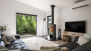 TV, fireplace, DVD player