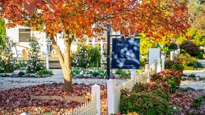 Property grounds - Autumn Beauty - Mountain View Cottage 3 (BRIGHT)