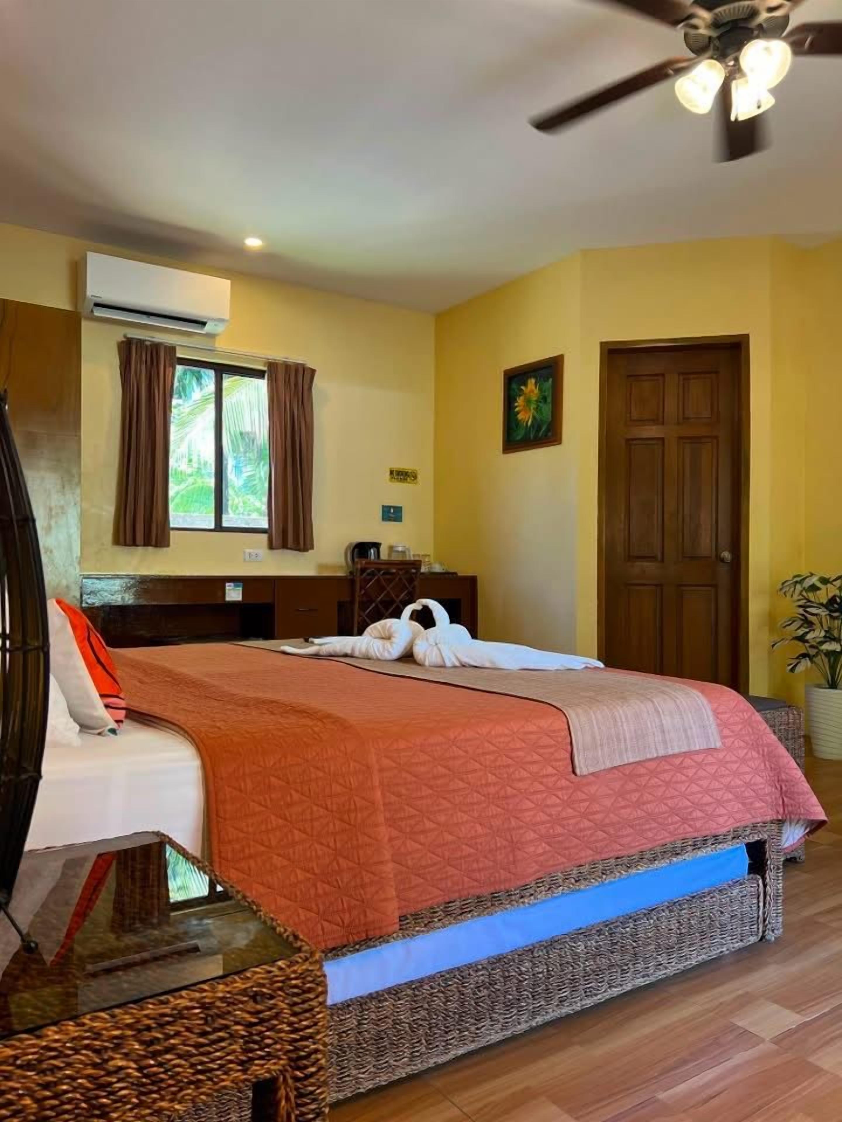 Una habitación de hotel con cama, ventilador de techo, aire acondicionado, ventana con cortinas, puerta y una planta en maceta.
