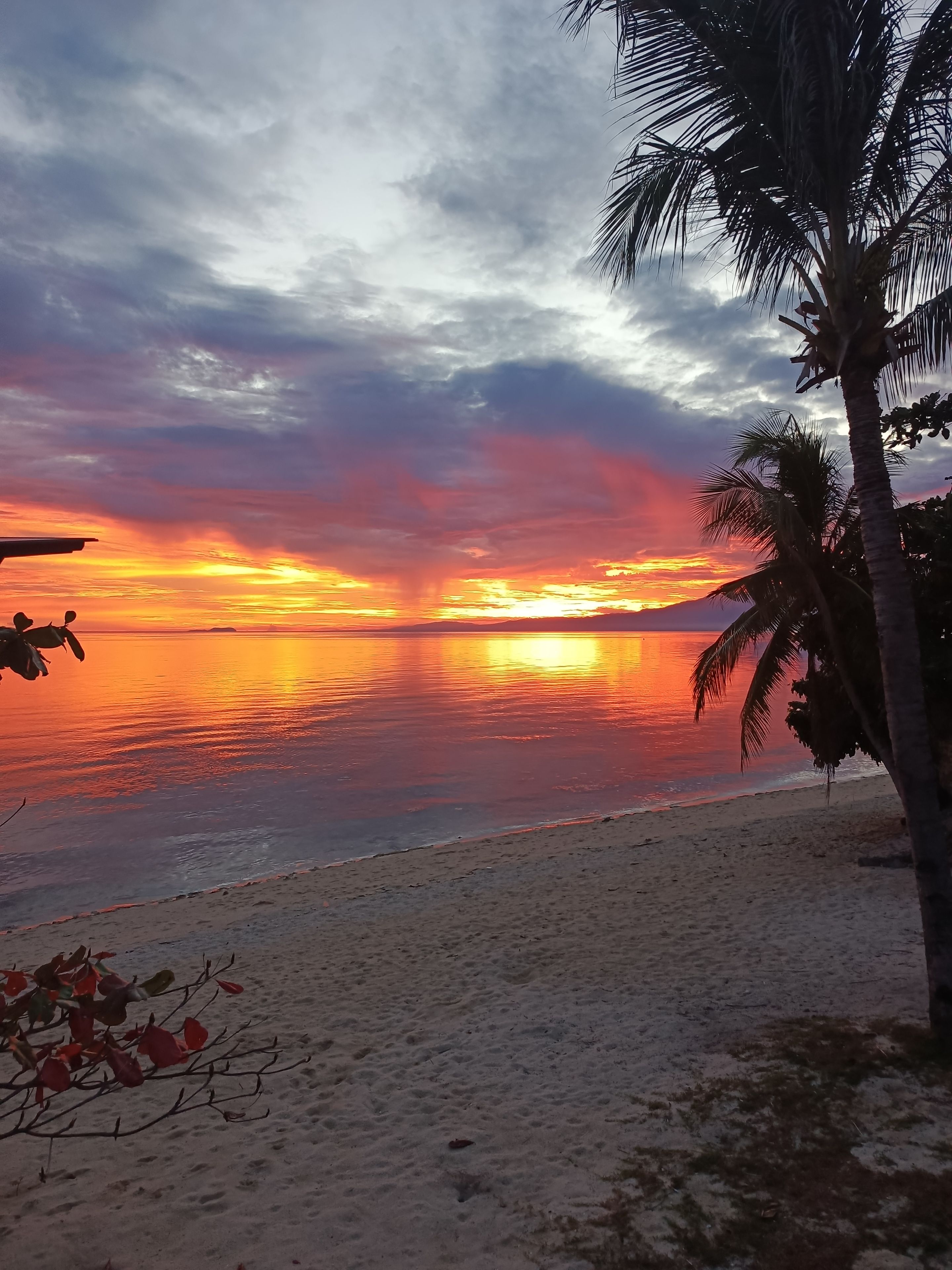 A beach with a sunset, palm trees, and a calm sea.