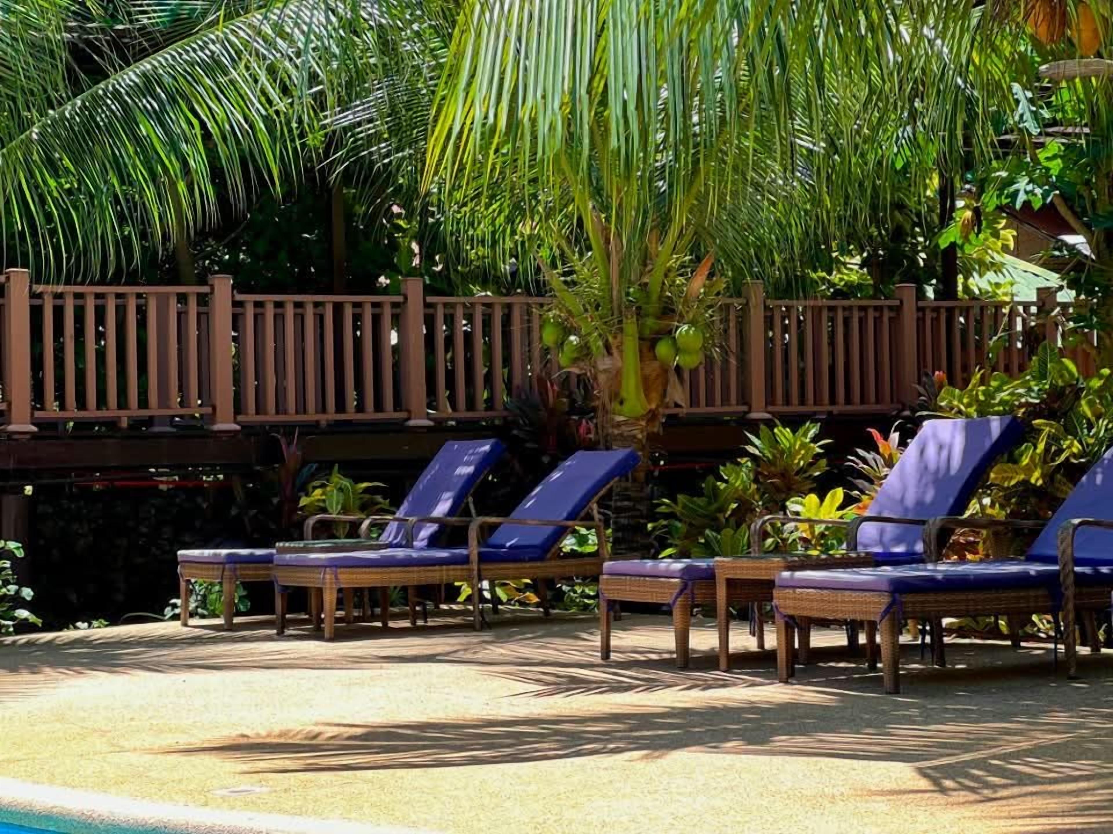 Un espace aménagé au bord de la piscine, avec des chaises longues et une terrasse en bois.