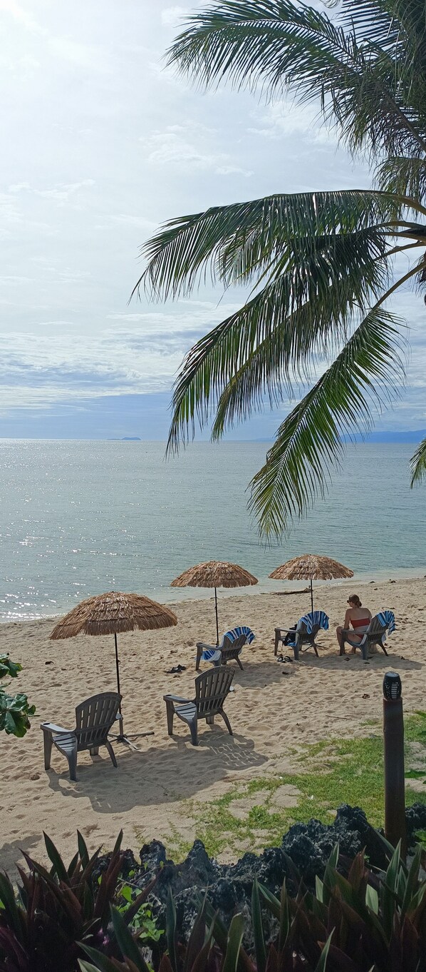 A beach with lounge chairs and umbrellas, a palm tree, and a view of the sea.