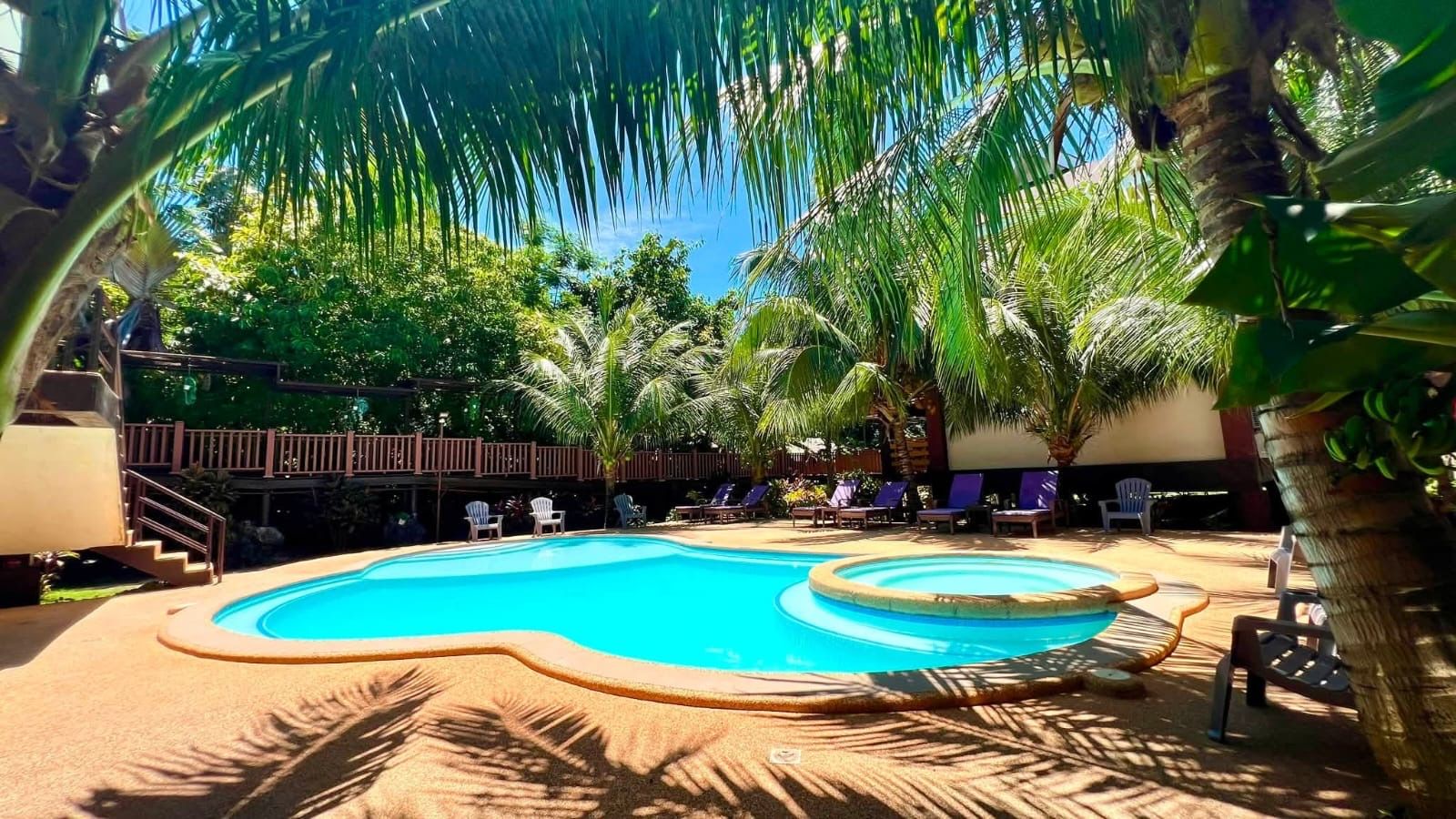 A swimming pool surrounded by palm trees and lounge chairs.