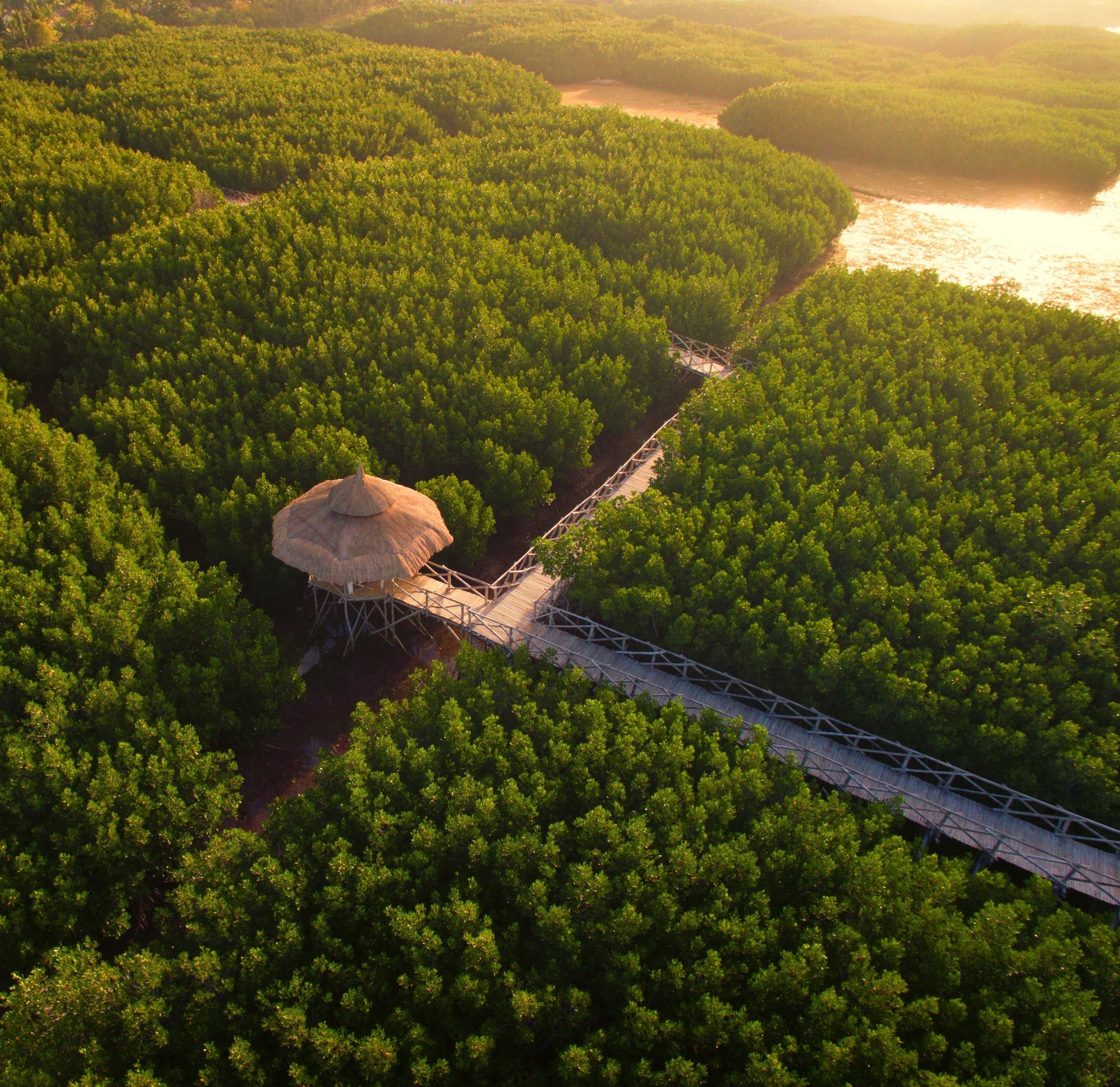 Vue aérienne d’une zone boisée avec une structure à toit de chaume reliée à un pont en bois qui enjambe une rivière.