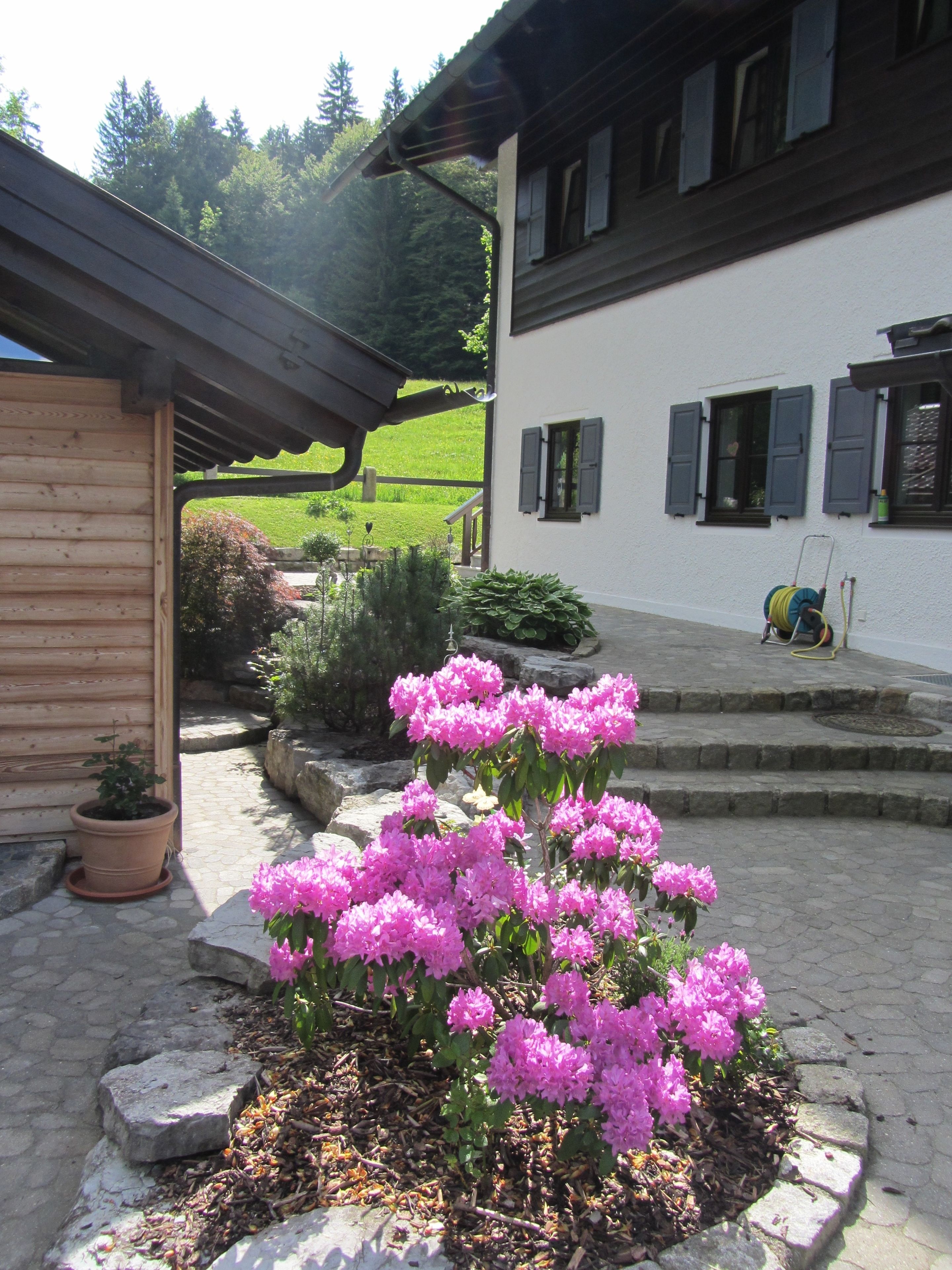 A house with a garden in front, a wooden shed to the left, and a grassy field in the background.