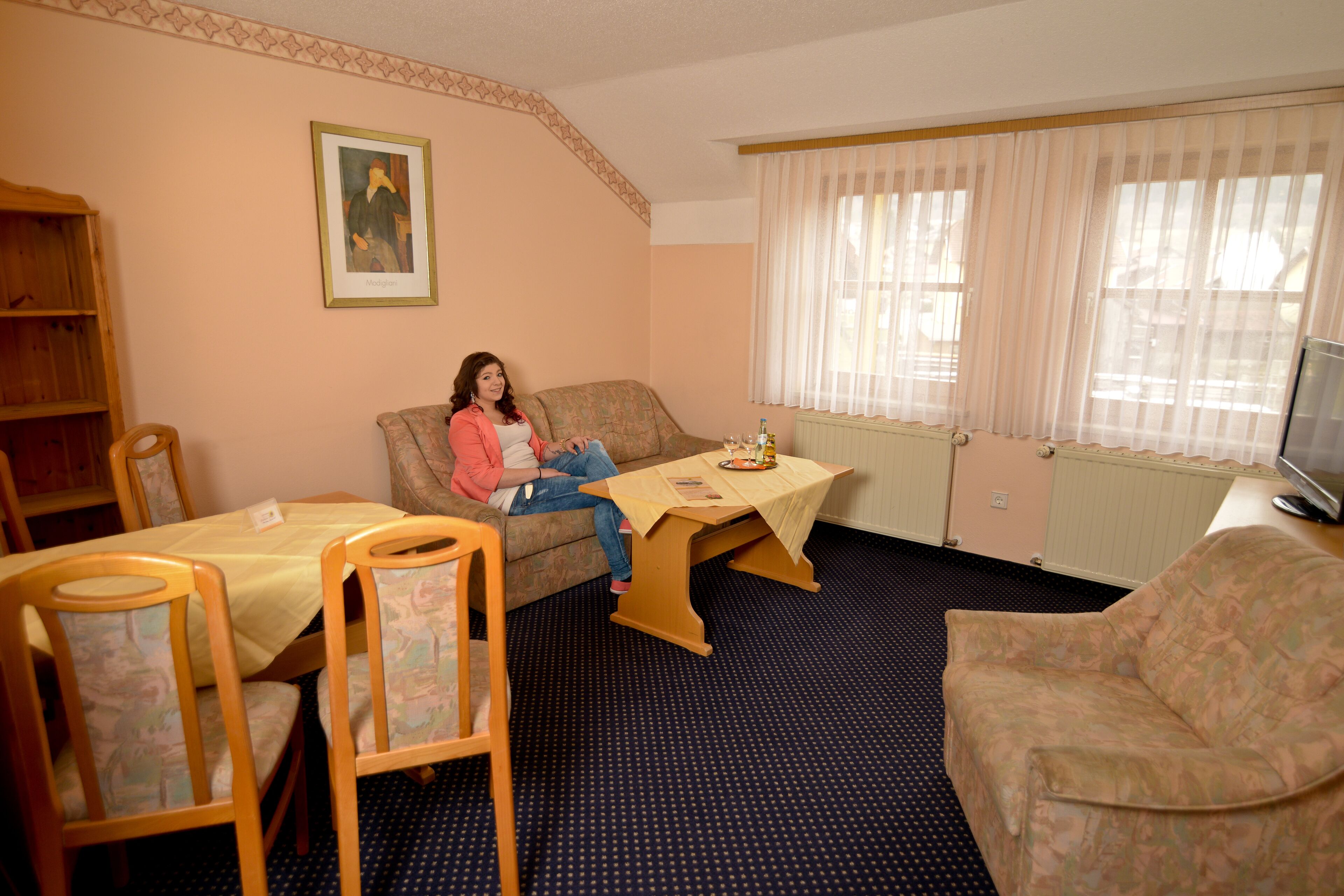 apartment (arber) | living area | flat-screen tv