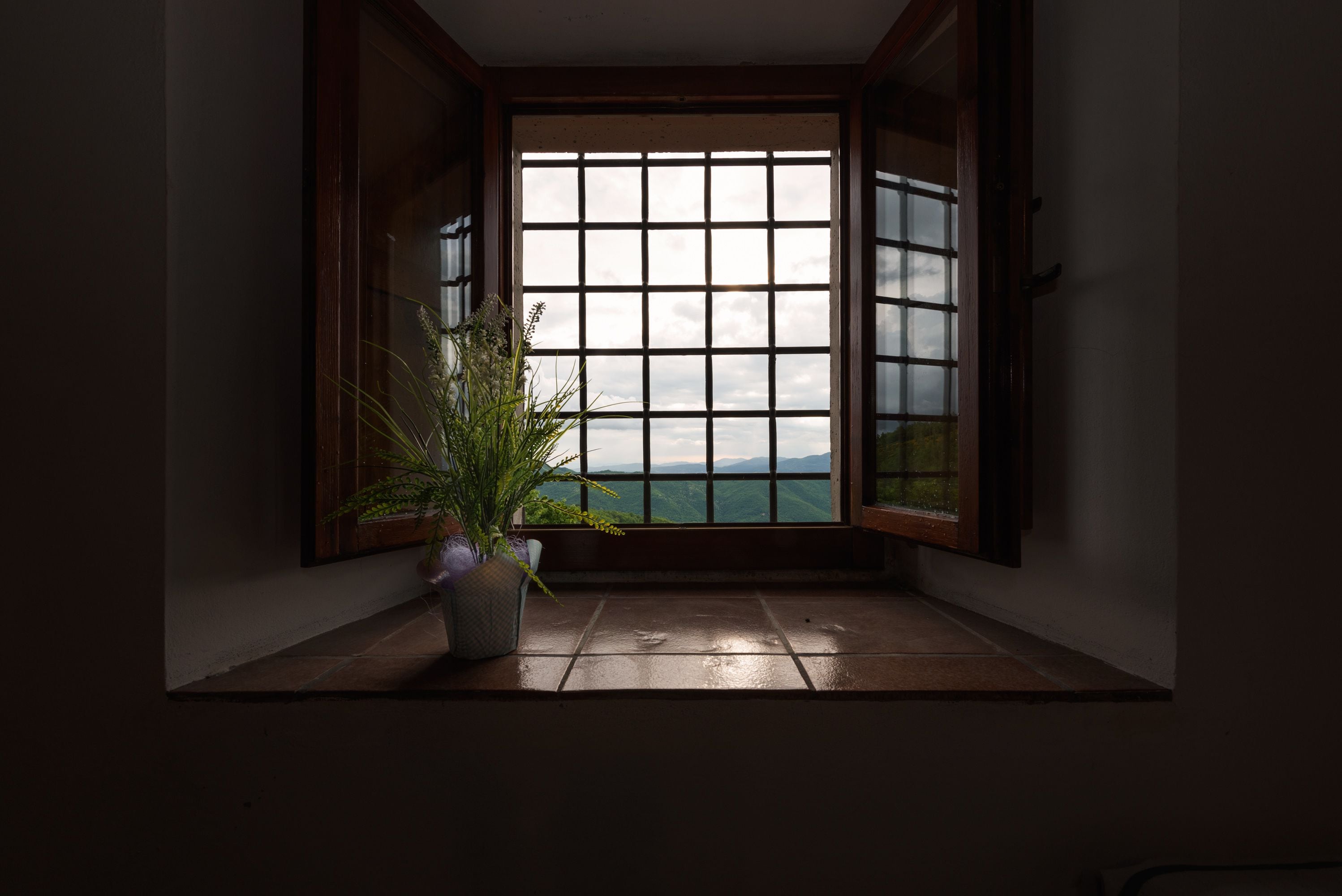 A room with a large window, a potted plant, and a view of a body of water.