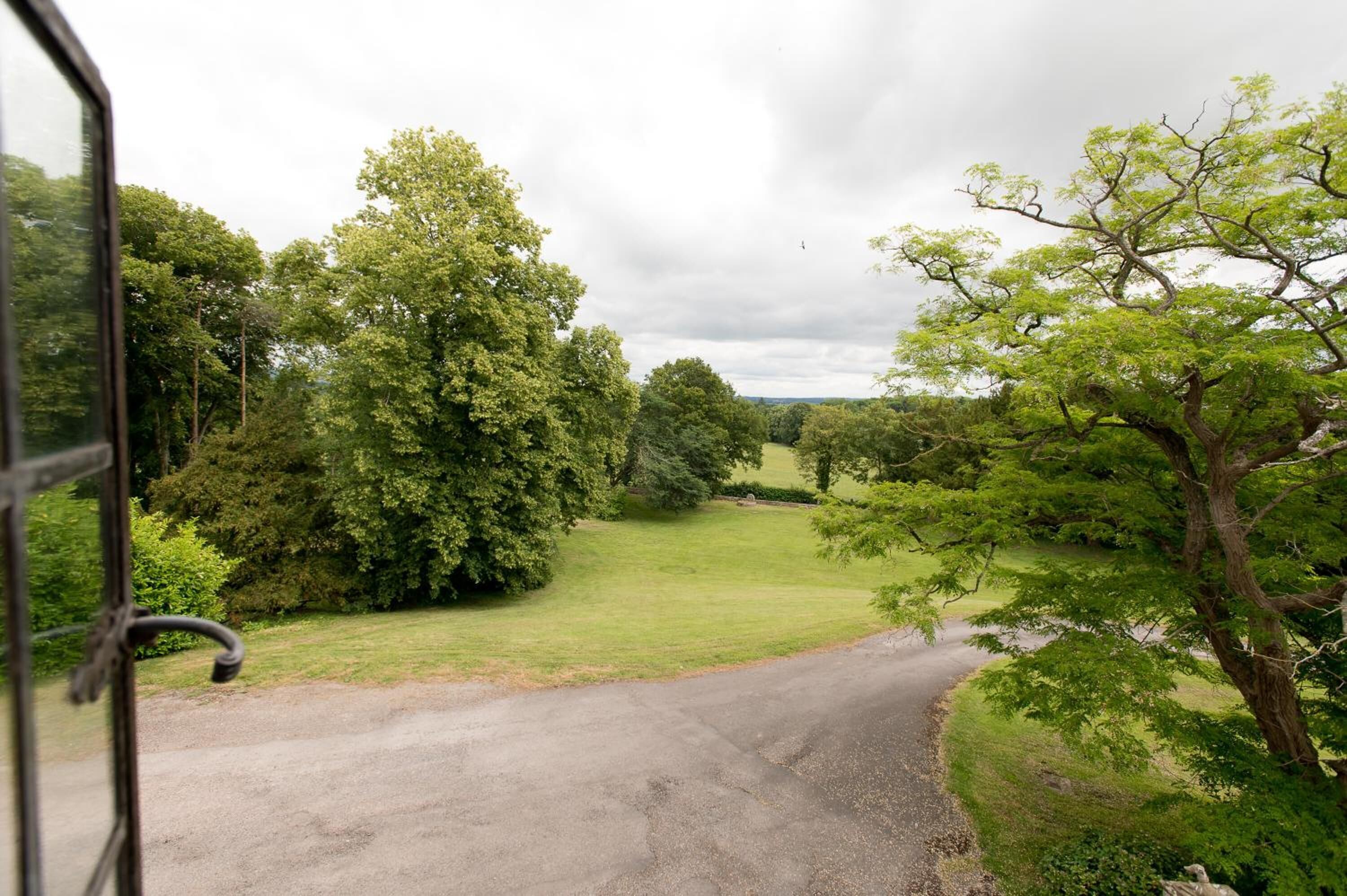 A rural road with a grassy area and trees on either side.