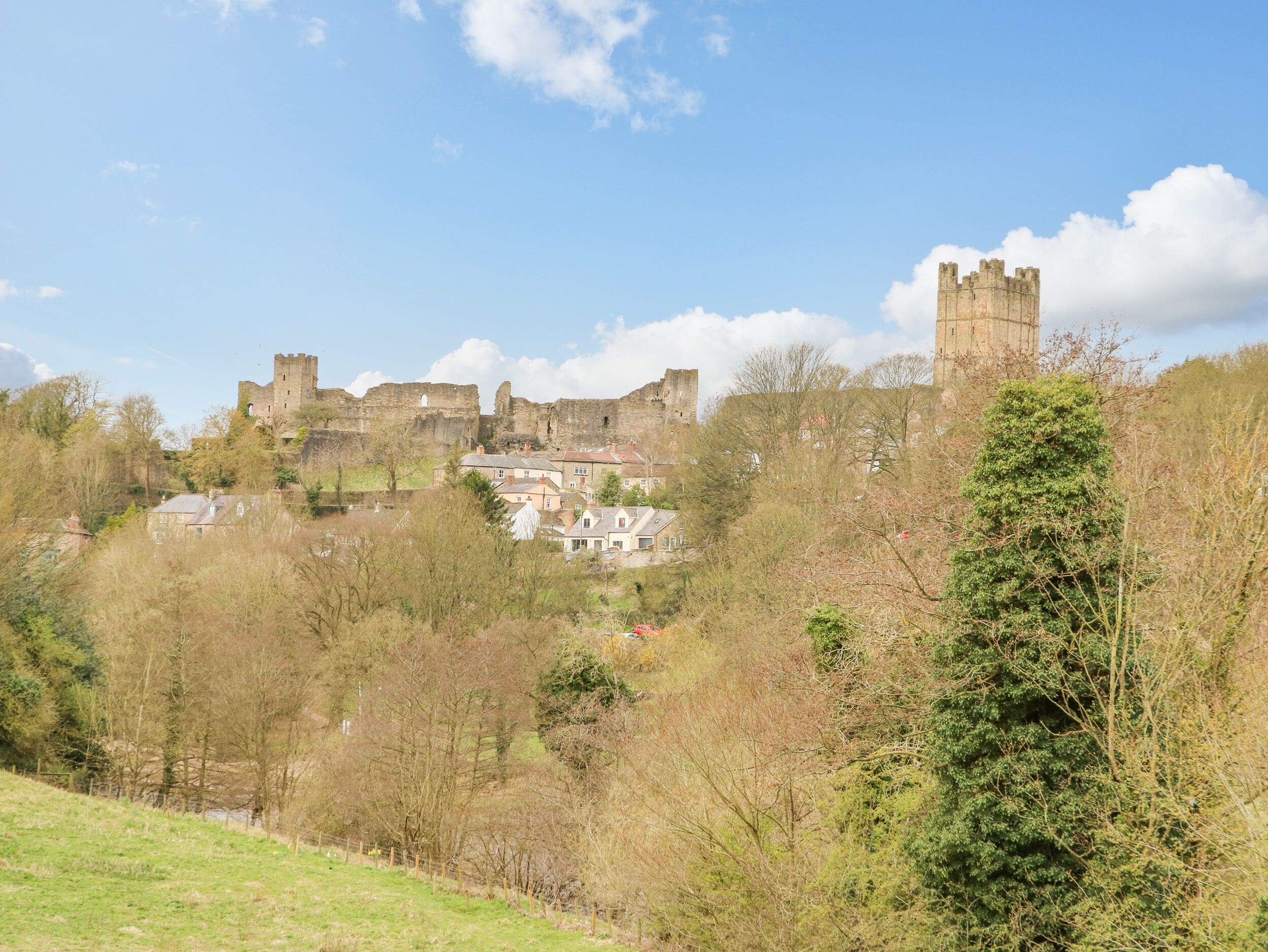 Un château historique, en partie en ruines, entouré d’arbres et de bâtiments résidentiels.