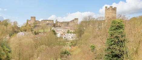Un château historique, en partie en ruines, entouré d’arbres et de bâtiments résidentiels.