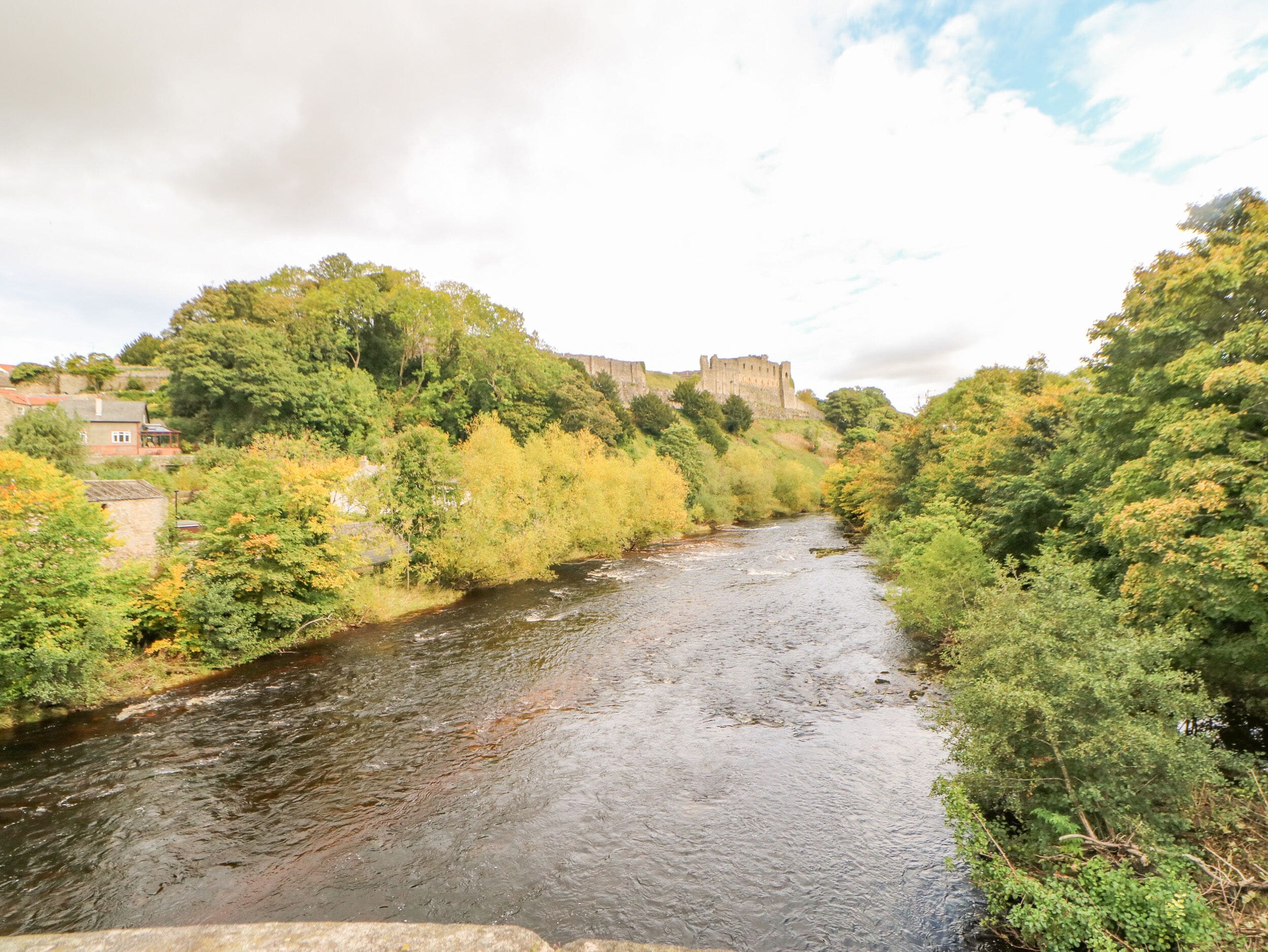 Un río serpentea por un paisaje verde y exuberante, con un castillo al fondo.
