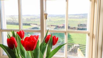 A window with a view of a green landscape and a red tulip arrangement.