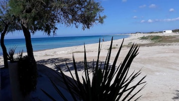 Una playa con agua azul cristalina, orilla arenosa y algunos árboles.