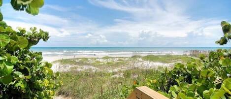 Ubicación a pie de playa