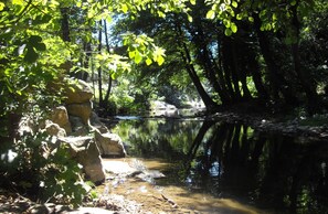 Un área boscosa tranquila con un arroyo apacible, rodeada de rocas y árboles.