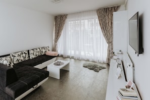 50-cm-Flachbildfernseher mit Kabelempfang, Fernseher, DVD-Player