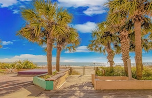 Un paseo marítimo de madera que conduce a una playa con palmeras y un cielo despejado.
