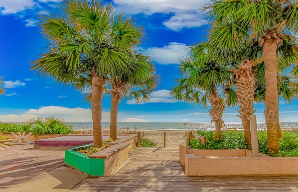 Plage à proximité