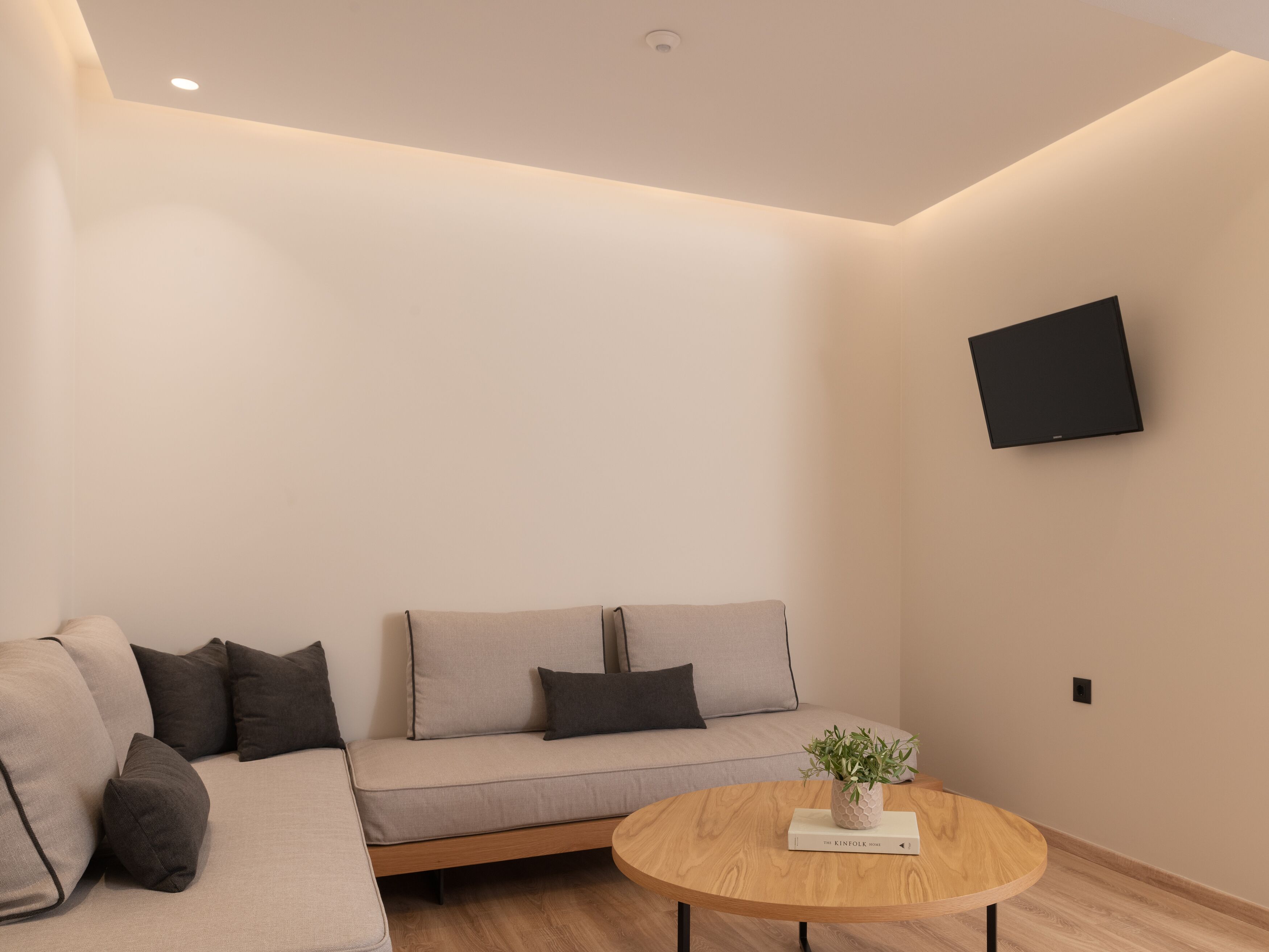 Una sala de estar moderna con un sofá, una mesa de centro redonda de madera, un libro y una planta en maceta.