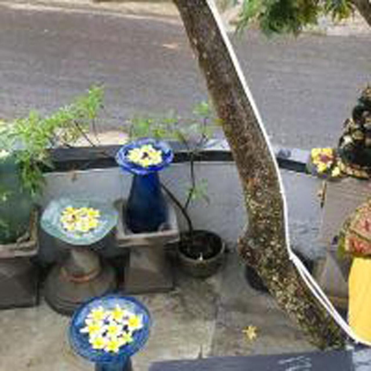 Foto - Bulan Bali Guest House