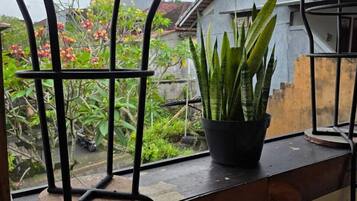 A balcony with a potted plant and a metal chair.