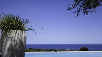 Seasonal outdoor pool, open 8:00 AM to 8:00 PM, pool loungers