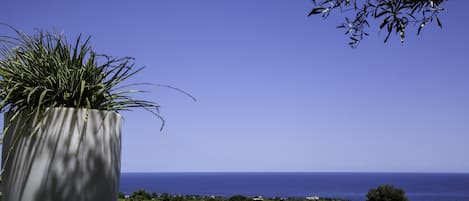 Seasonal outdoor pool, open 8:00 AM to 8:00 PM, pool loungers