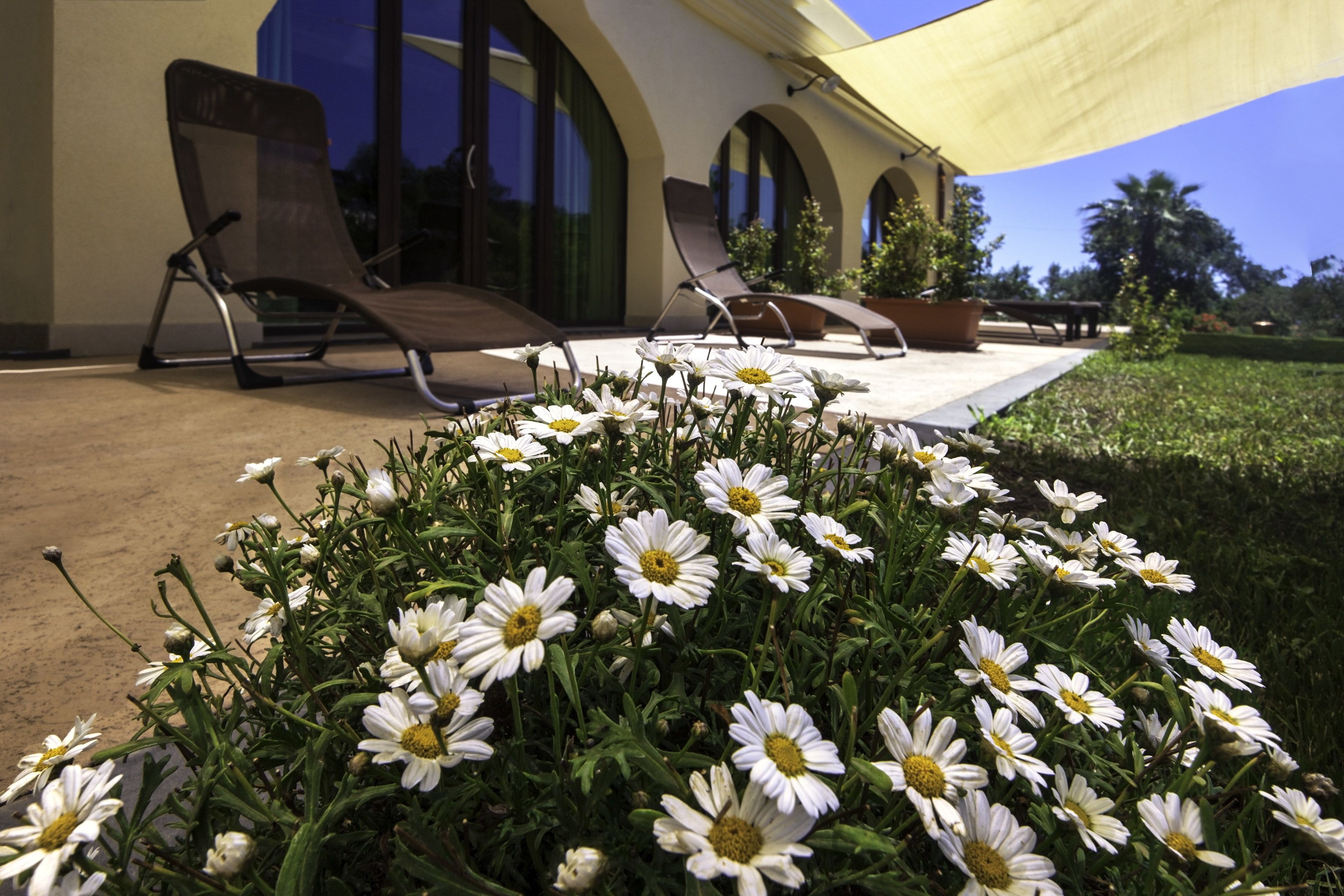 Comfort Apartment (Consolo e Camilleri) | Premium bedding, in-room safe, individually decorated