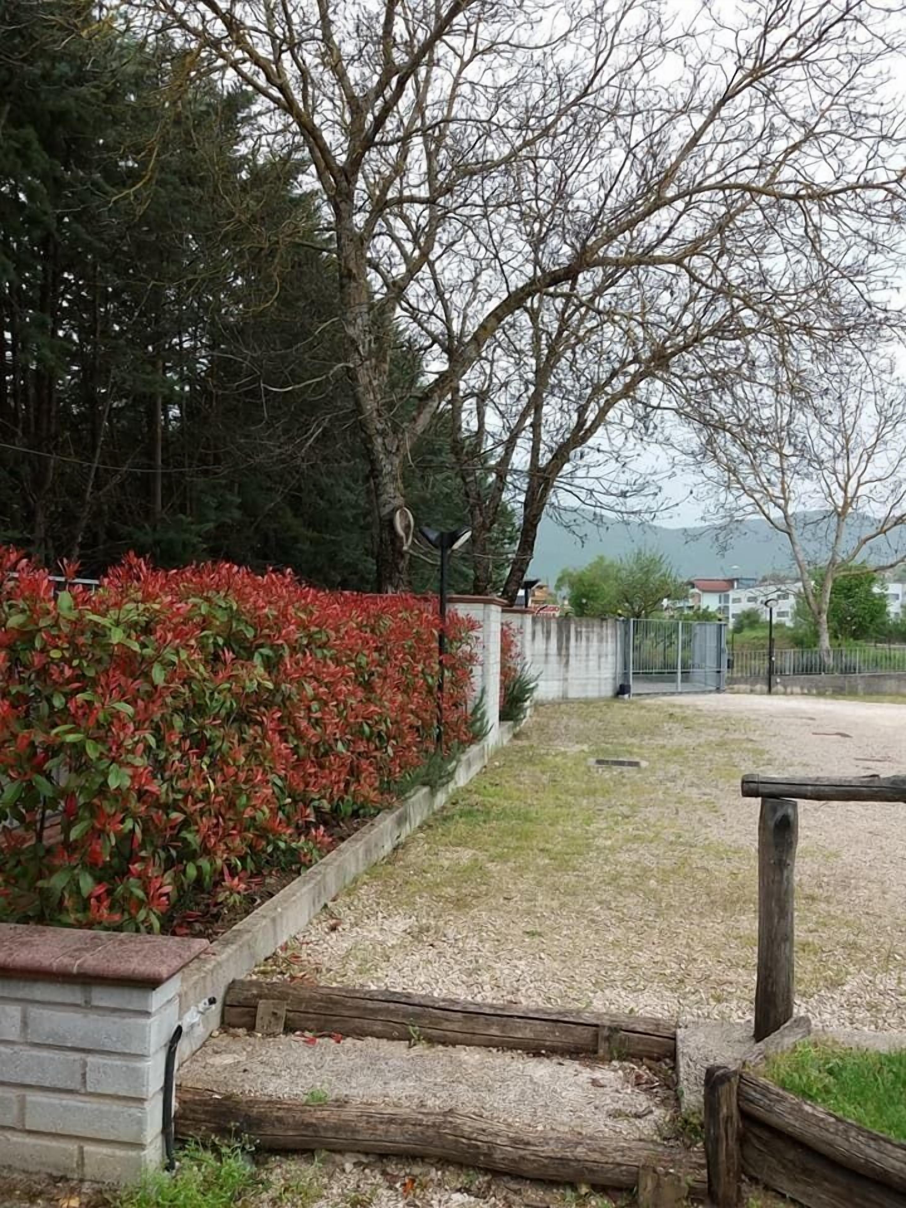 Un chemin pavé bordé d’une clôture en bois, un jardin en briques orné de plantes à feuillage rouge et une vue sur un bâtiment situé au loin.