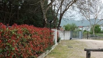 Un chemin pavé bordé d’une clôture en bois, un jardin en briques orné de plantes à feuillage rouge et une vue sur un bâtiment situé au loin.