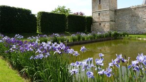 A historic stone building with a tower, surrounded by a well-maintained garden with purple flowers and a pond. - Manoir du Plessis au Bois (Vauciennes)