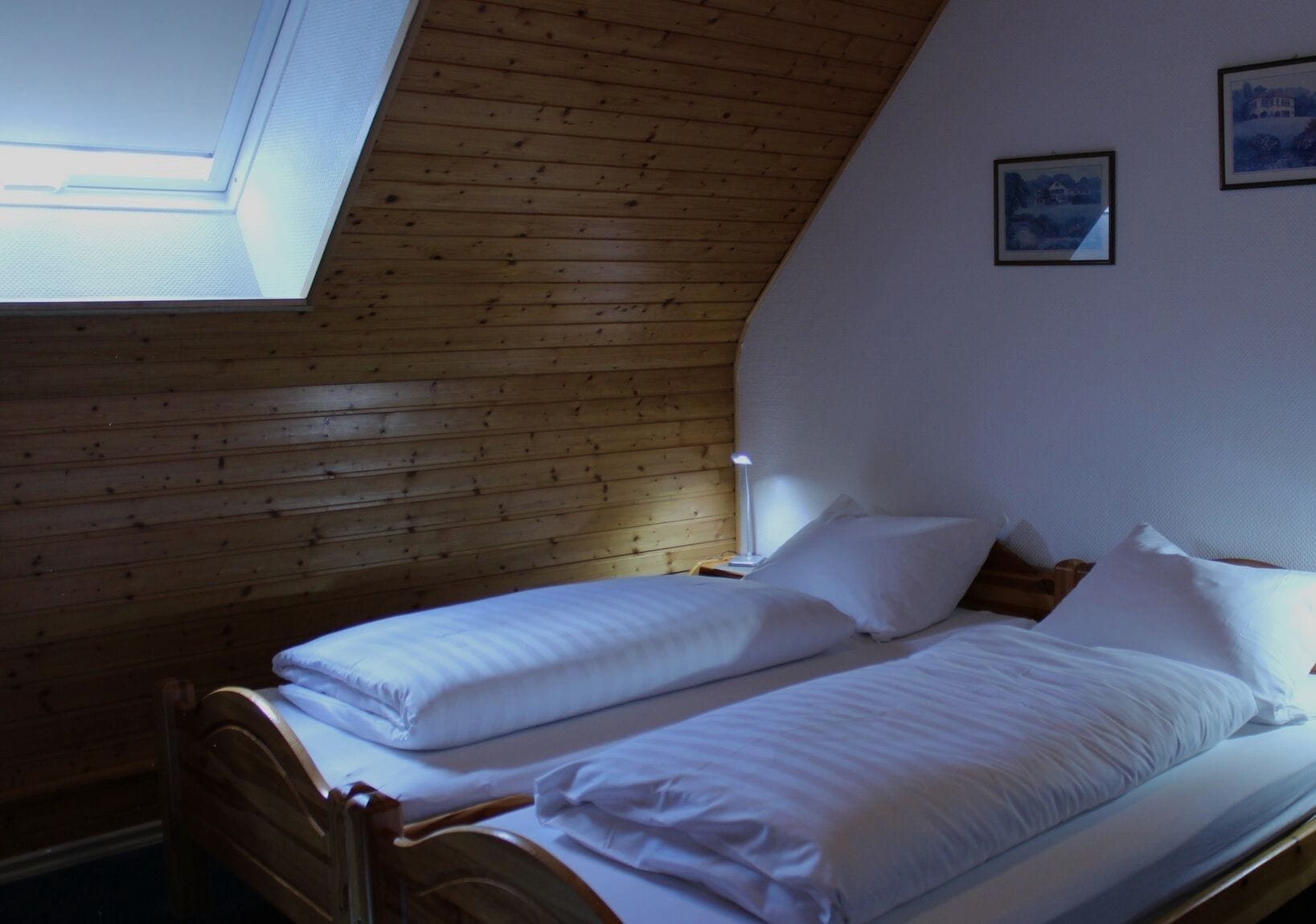 double room, 2 single beds | desk, free wifi, bed sheets