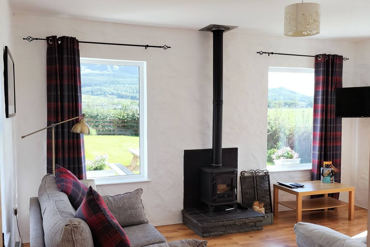A cozy living room with a fireplace, two windows with curtains, a sofa, and a television.