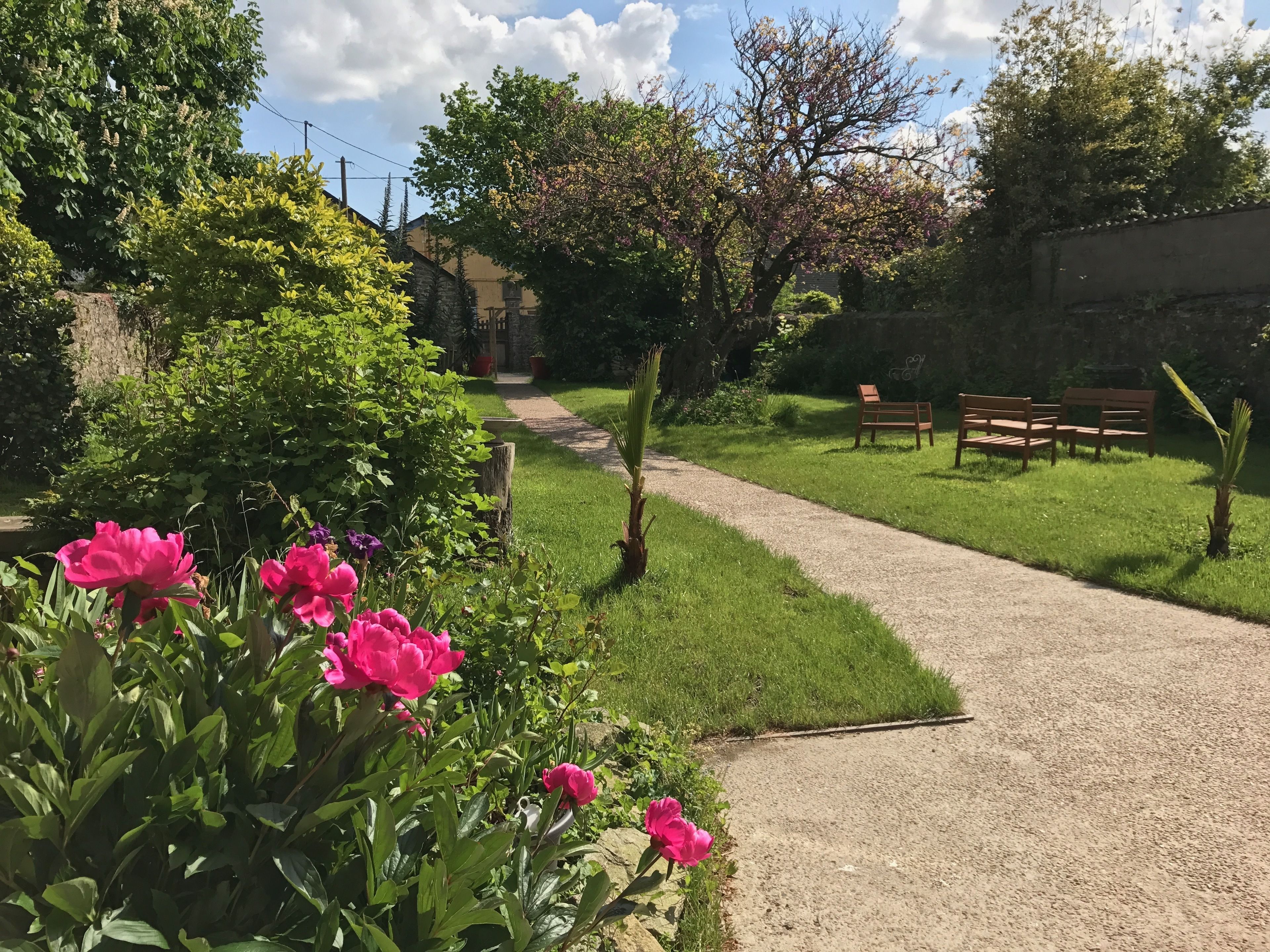A garden path leading to a bench area with a stone wall and flowering plants.