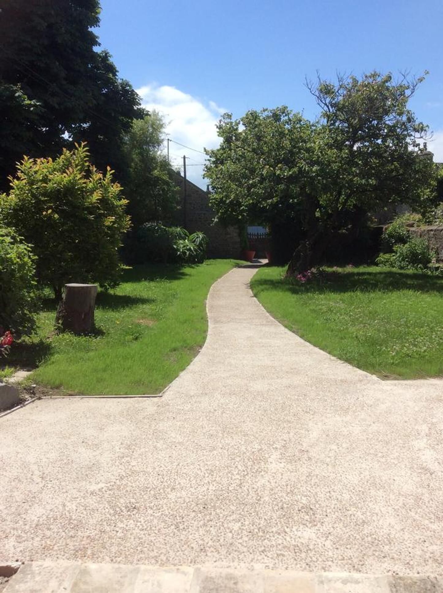 Un sendero pavimentado que atraviesa un jardín con árboles y arbustos.