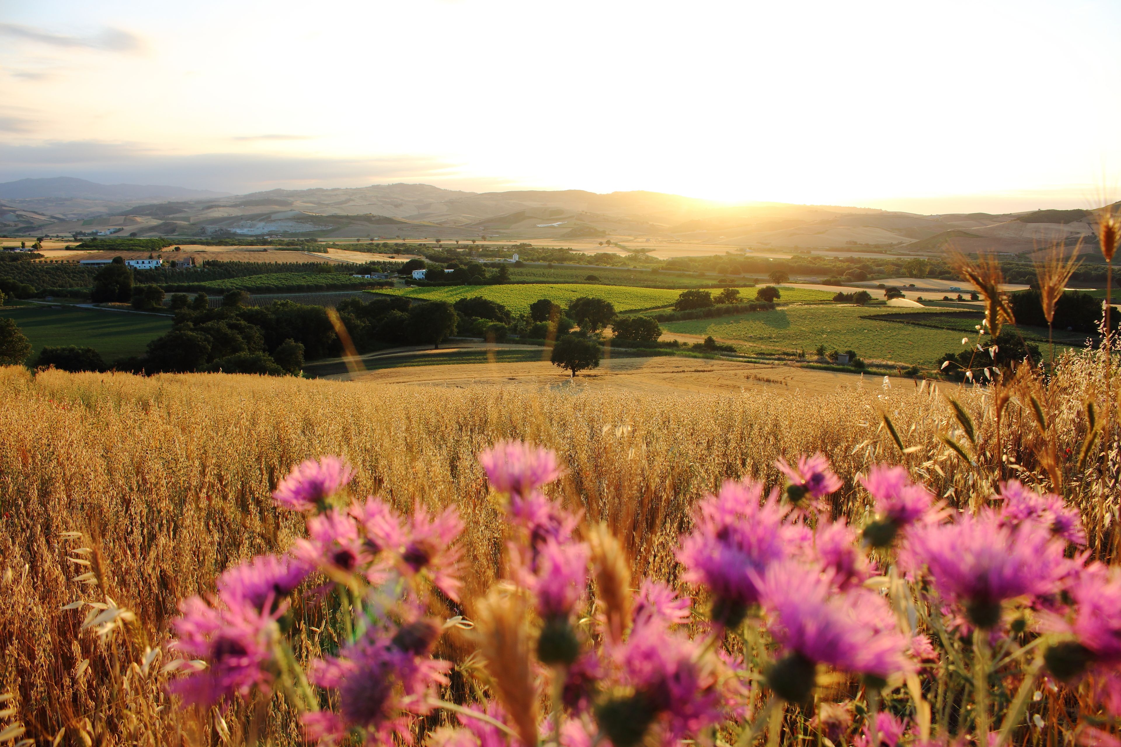 A rural landscape with fields and distant hills.
