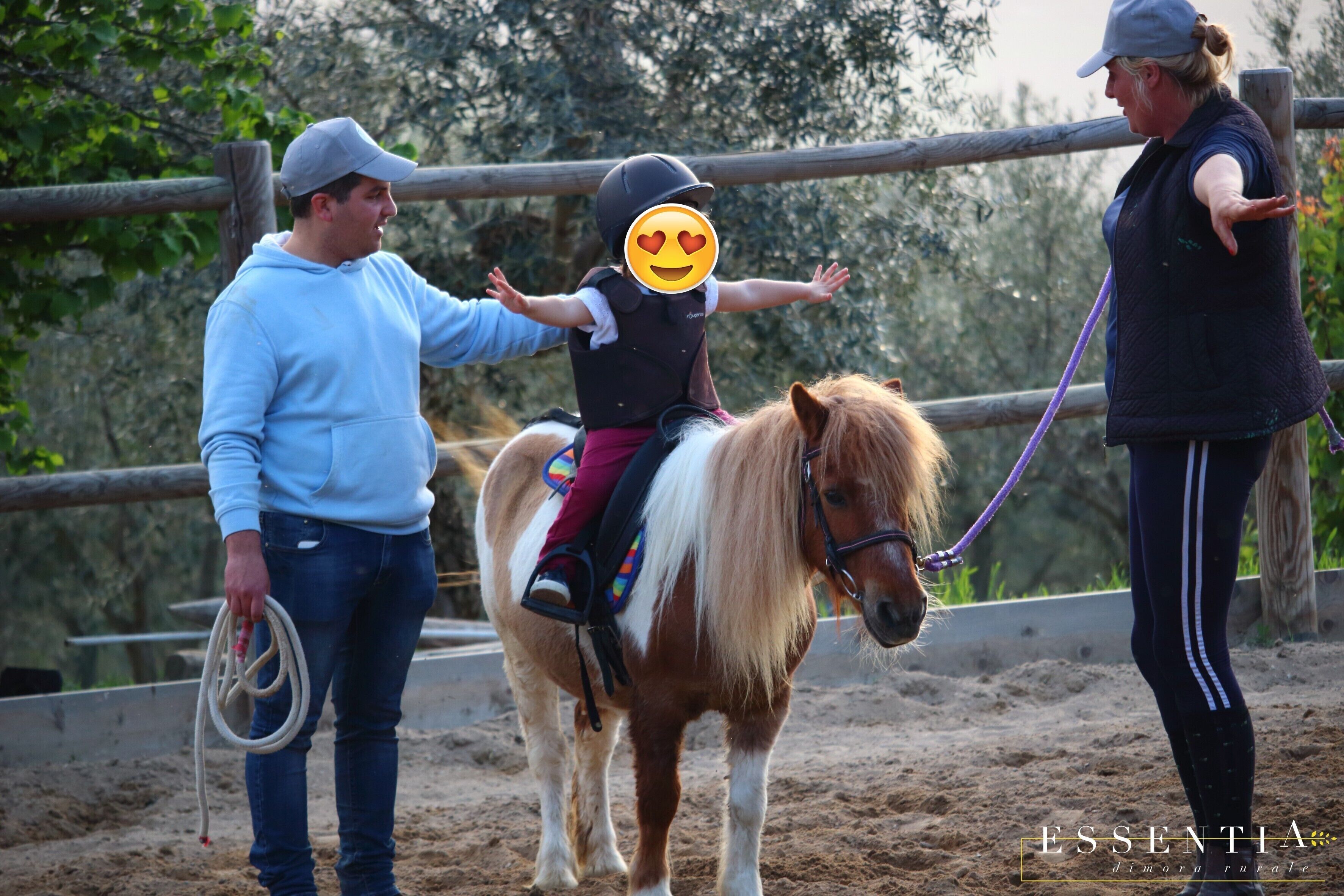 A person riding a pony in an outdoor arena with a fence and trees in the background.