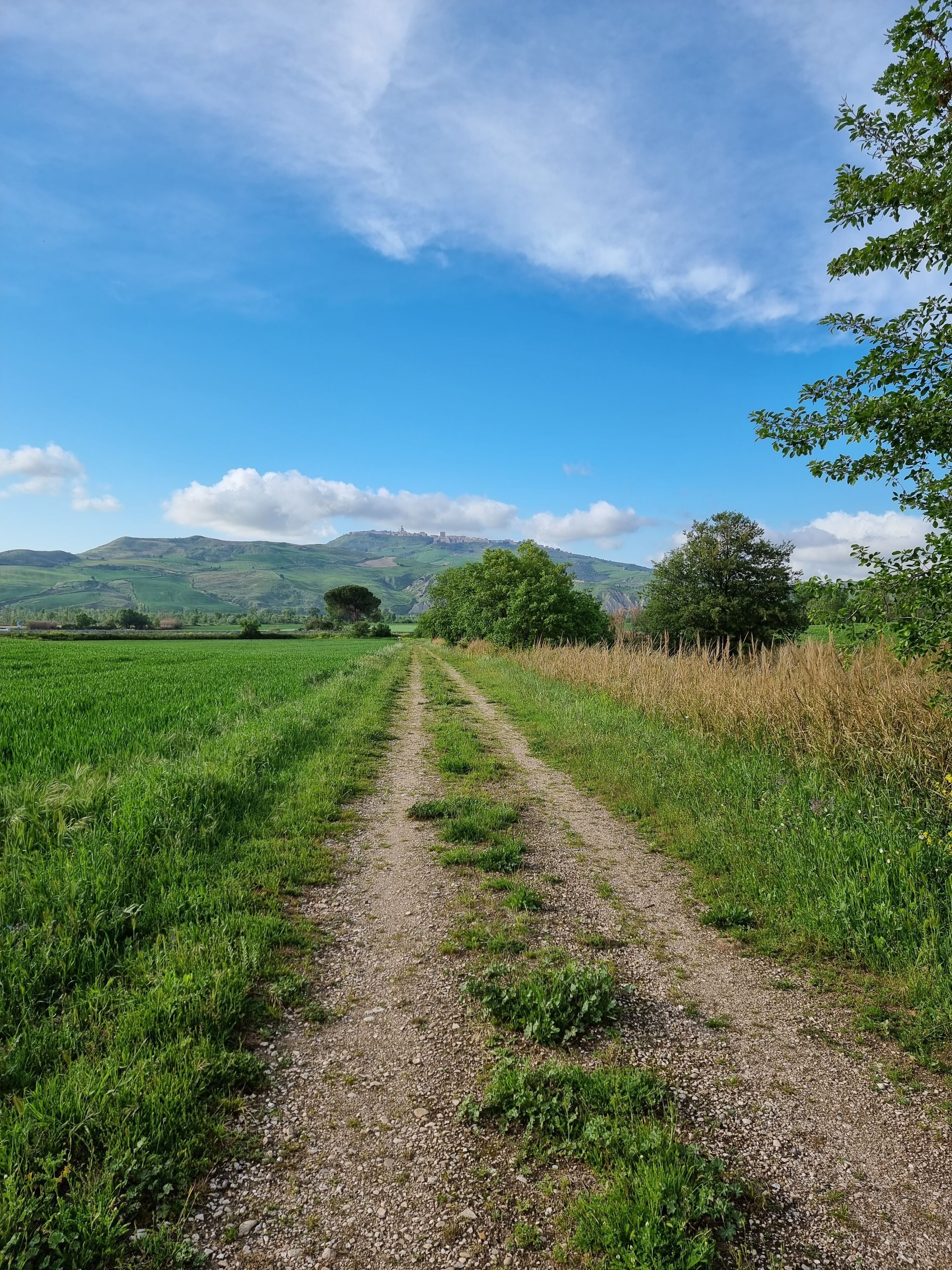 A gravel path leading through a green field with a hill and trees in the background.