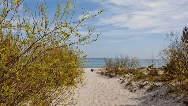 A sandy beach path with sparse vegetation and a clear view of the ocean. - BlueApart Nadmorski Park Jastarnia (Jastarnia)