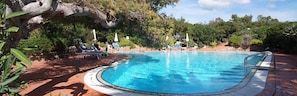 Seasonal outdoor pool, open 9:00 AM to 7:00 PM, pool umbrellas