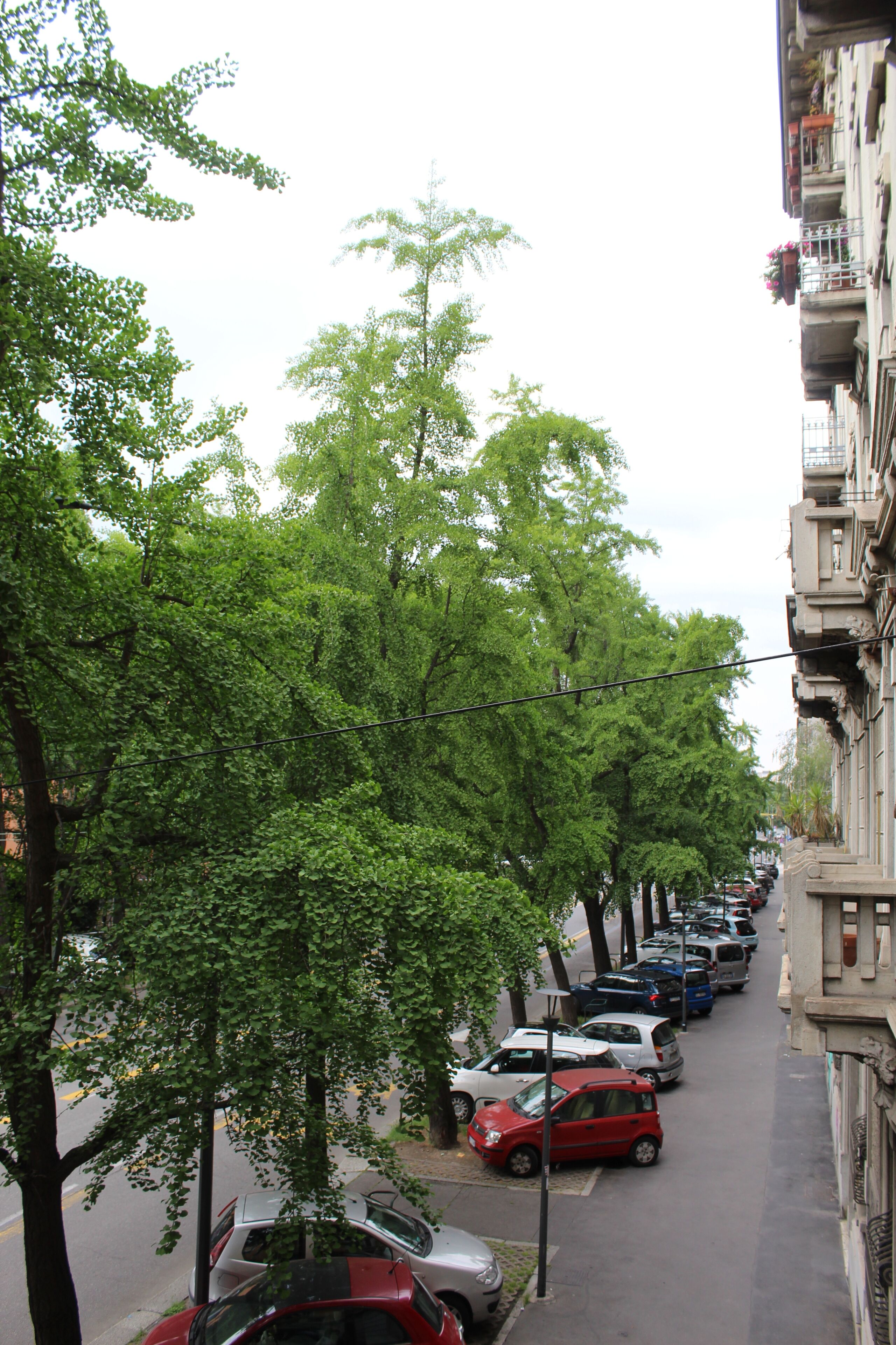 Photo - Hotel Aurelia Milano Centrale