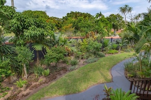 Property grounds - Elephant Coast Guest House (St. Lucia)