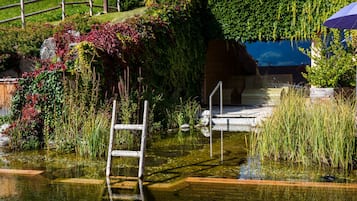 Piscine extérieure, parasols de plage, chaises longues