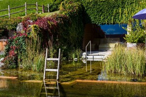Piscine extérieure, parasols de plage, chaises longues