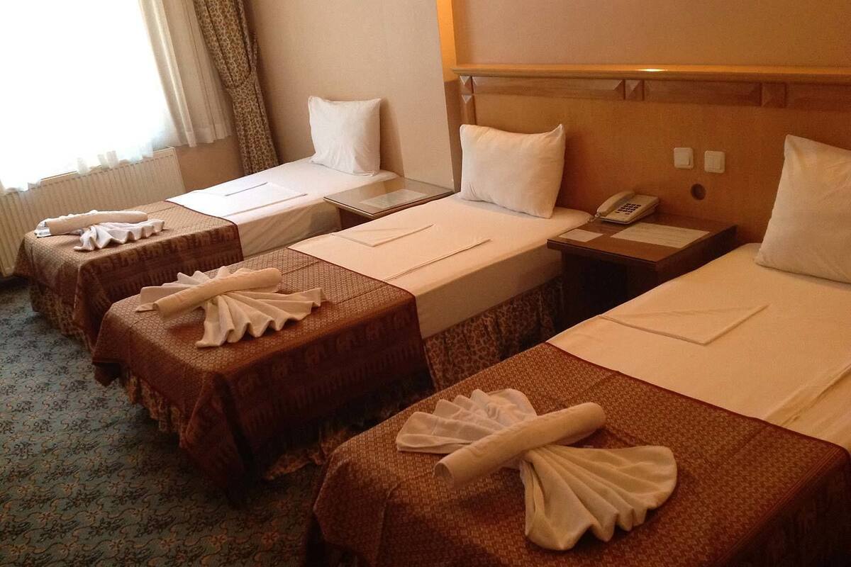 Triple Room | Minibar, desk, iron/ironing board (on request), WiFi (free)