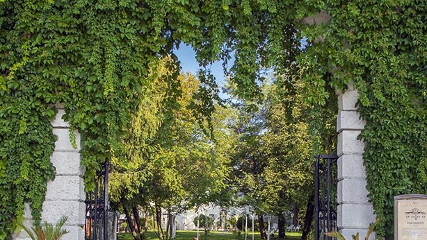 A pathway flanked by stone pillars and covered by a vine archway leading to a building. - Villa Cigolotti (Vivaro)