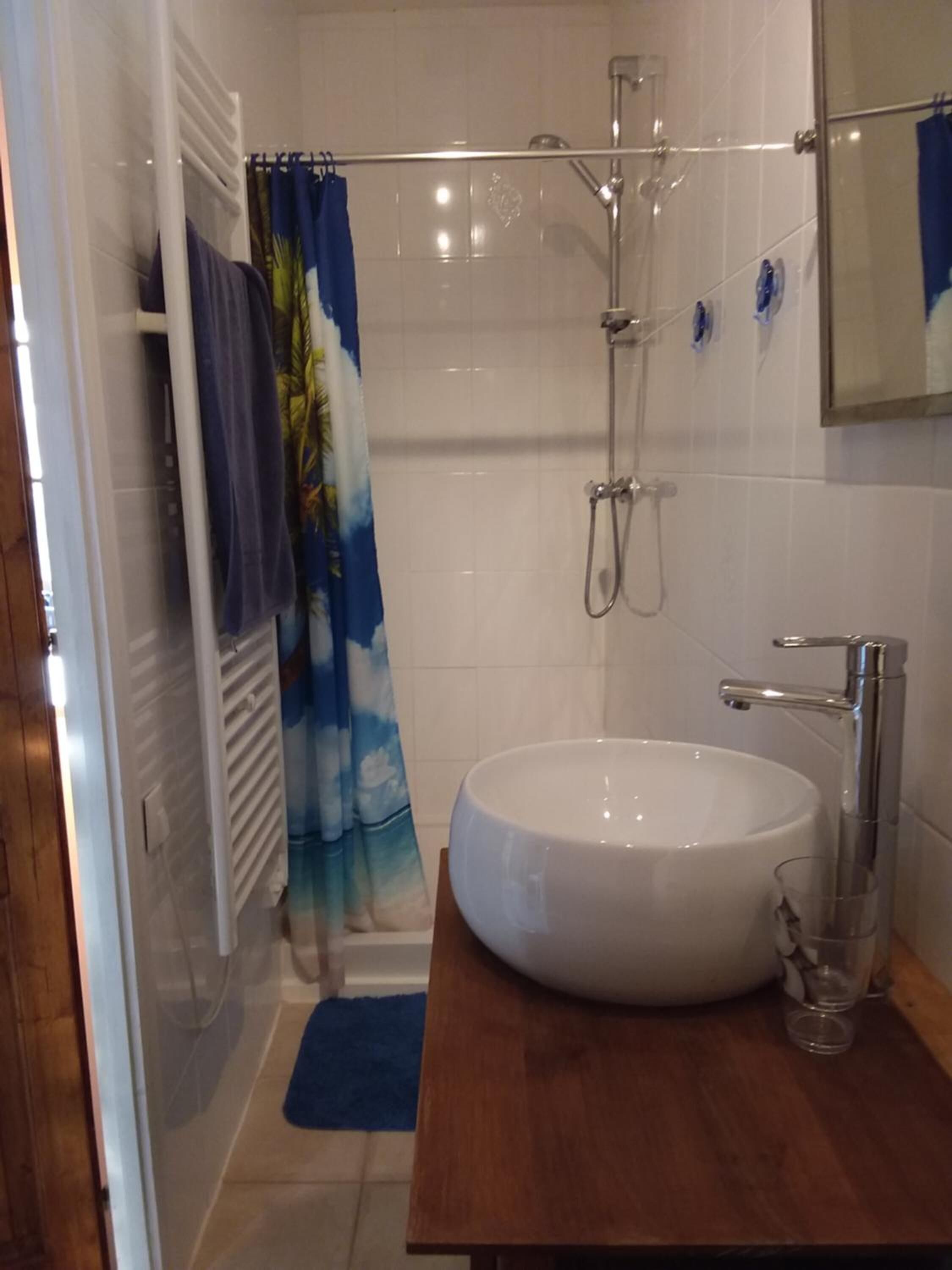 A bathroom with a shower, a sink, and a mirror.