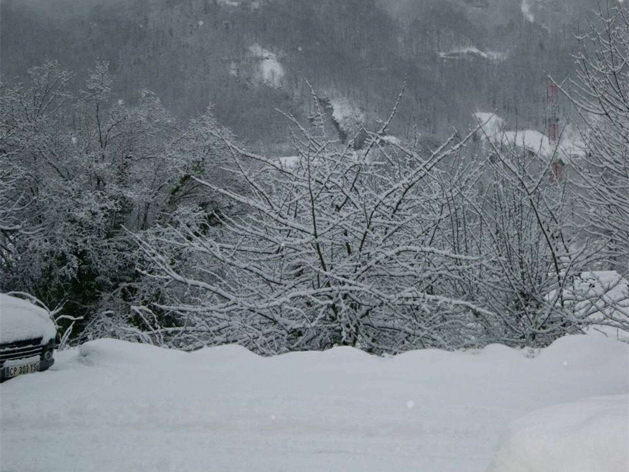 Paesaggio innevato con alberi spogli e un'auto ricoperta di neve.