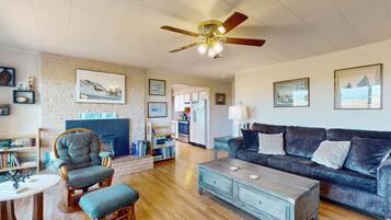 TV, DVD player, books, video library