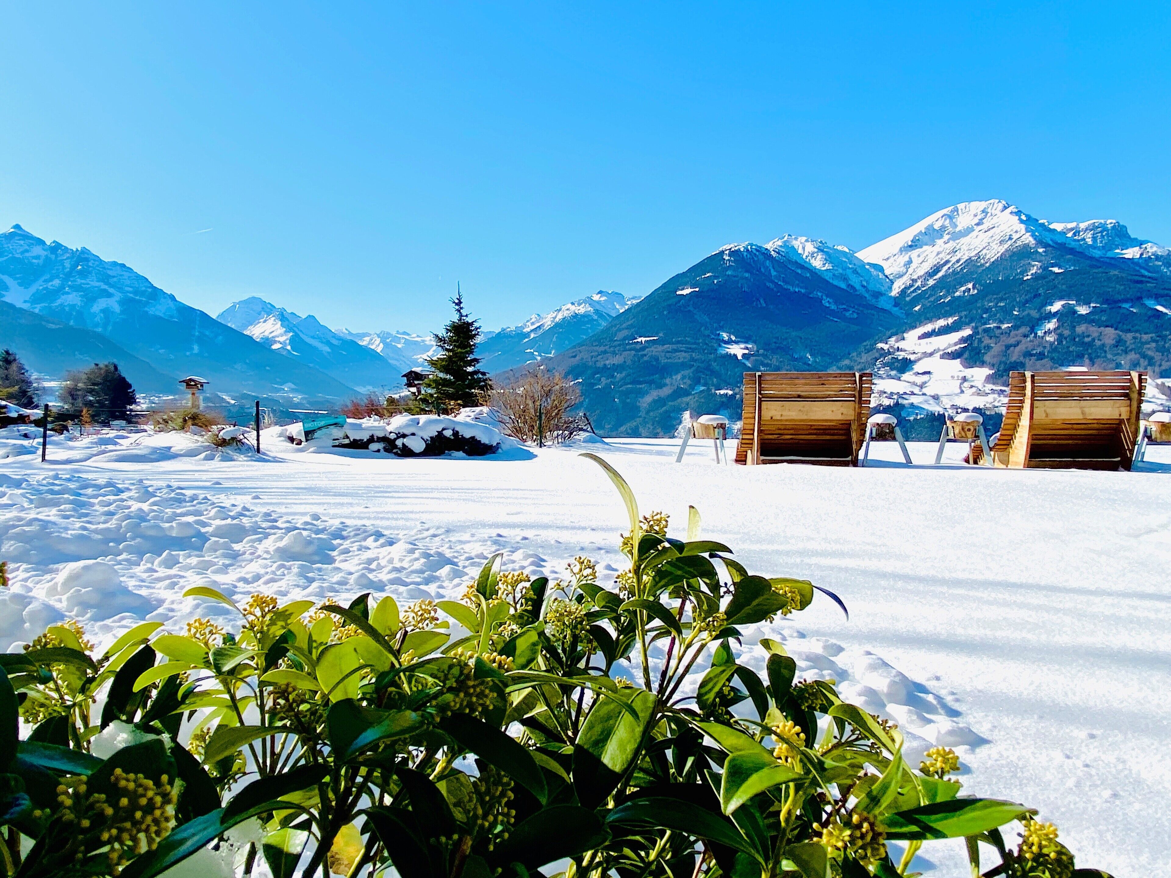 Serveert ontbijt, lunch, diner, lokale gerechten 